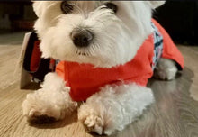 Load image into Gallery viewer, Dog Dry Robe