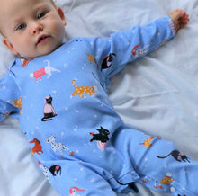 Load image into Gallery viewer, Powell Craft Babygrow.
